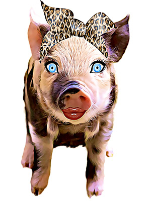 Prissy Pig
