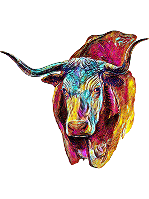 Rainbow Boss Bull