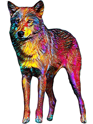 Rainbow Standing Wolf