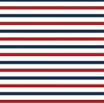 Printed Pattern Vinyl - Glossy - Red White and Blue 12" x 24" Sheet