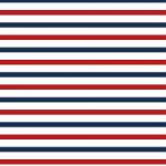 Printed Pattern Vinyl - Glossy - Red White and Blue 12" x 24" Sheet