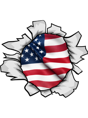 American Flag Rip - Circle - 143