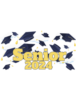 Senior 2024 Graduation Caps -  143