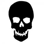 Free Download - Skull