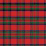 Printed Pattern Vinyl - Glossy - Stewart Plaid 12" x 24" Sheet