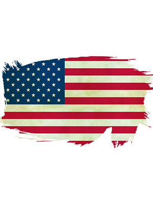 Tattered US Flag