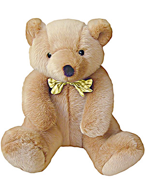 Teddy Bear Soft