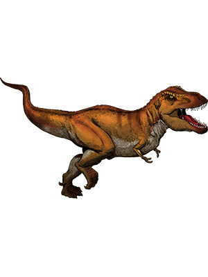 Tyrannosaurus Rex Colored