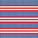 Printed Pattern Vinyl - Glossy -  Patriotic US Flag Small 12" x 12" Sheet