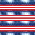 Printed Pattern Vinyl - Glossy - Patriotic US Flag Small 12" x 24" Sheet