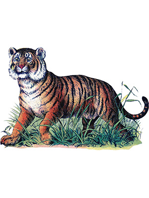 Vintage Tiger Kunst
