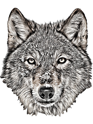 Wolf Graphic Novel