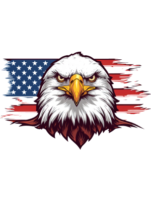 American Flag Bald Eagle - 143