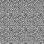 Printed Pattern Vinyl - Black and White Leopard  - 12" x 24"