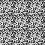 Printed Pattern Vinyl - Black and White Leopard  - 12" x 24"