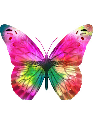Bright Pink Butterfly