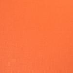 American Craft - Carrot - 12" x 12" Sheet
