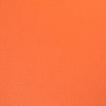 American Craft - Carrot - 12" x 12" Sheet