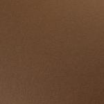 Bazzill Cardstock - Textured - Chocolate - 12" x 12" Sheet 