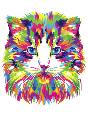 Colorful Cat - 143