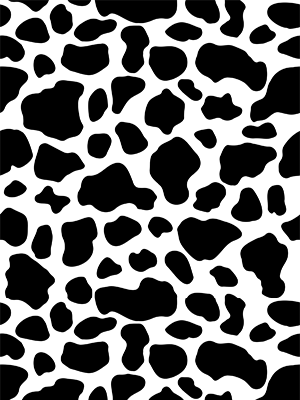 Cow Black White