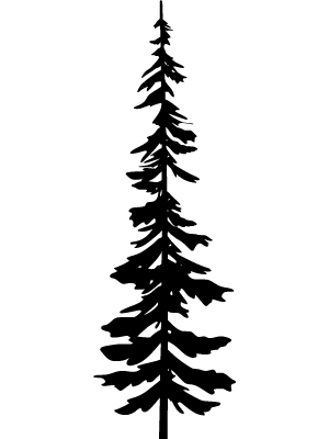 Evergreen Tree 4