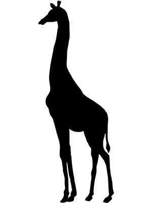 Giraffe Tall