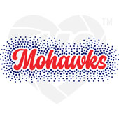 Faux Rhinestone - Mohawks