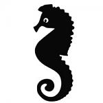 Free Download - Seahorse