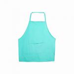 Adult's Apron - Teal